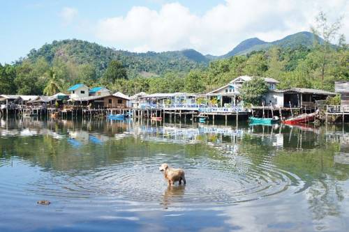 Koh Chang Thailand Promo Code Booking.com