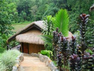 Mae Salong (Chiang Rai) Thailand Hotels