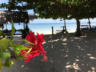 Koh Phangan Thailand Promo Code Agoda.com