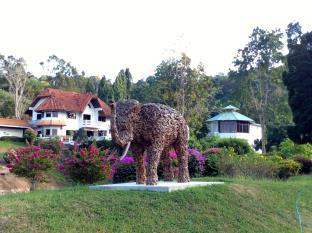 Nan Thailand Hotels